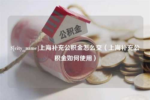 桐城上海补充公积金怎么交（上海补充公积金如何使用）